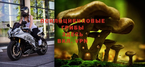 сатива Алзамай