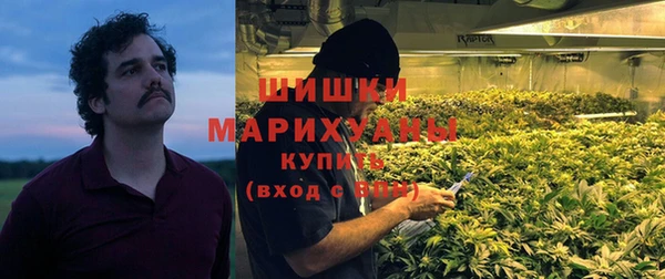 прущие грибы Абдулино