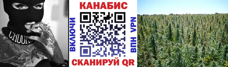 дарнет шоп  Починок  Шишки марихуана тримм 